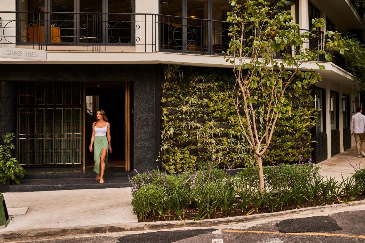 Hotel Campos Polanco Meksyk Zewnętrze zdjęcie